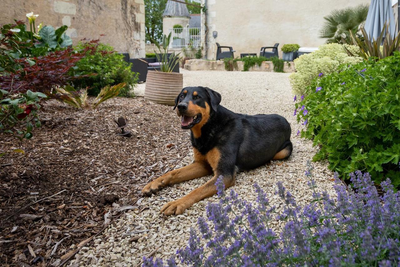 Manoir de la Mazeraie, idéal pour le télétravail Joué-lès-Tours Extérieur photo